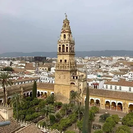 Nieves Viejas Patios Cordoba
