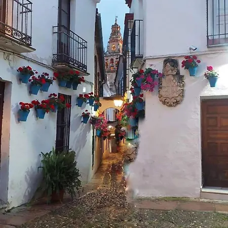 Nieves Viejas Patios Apartment